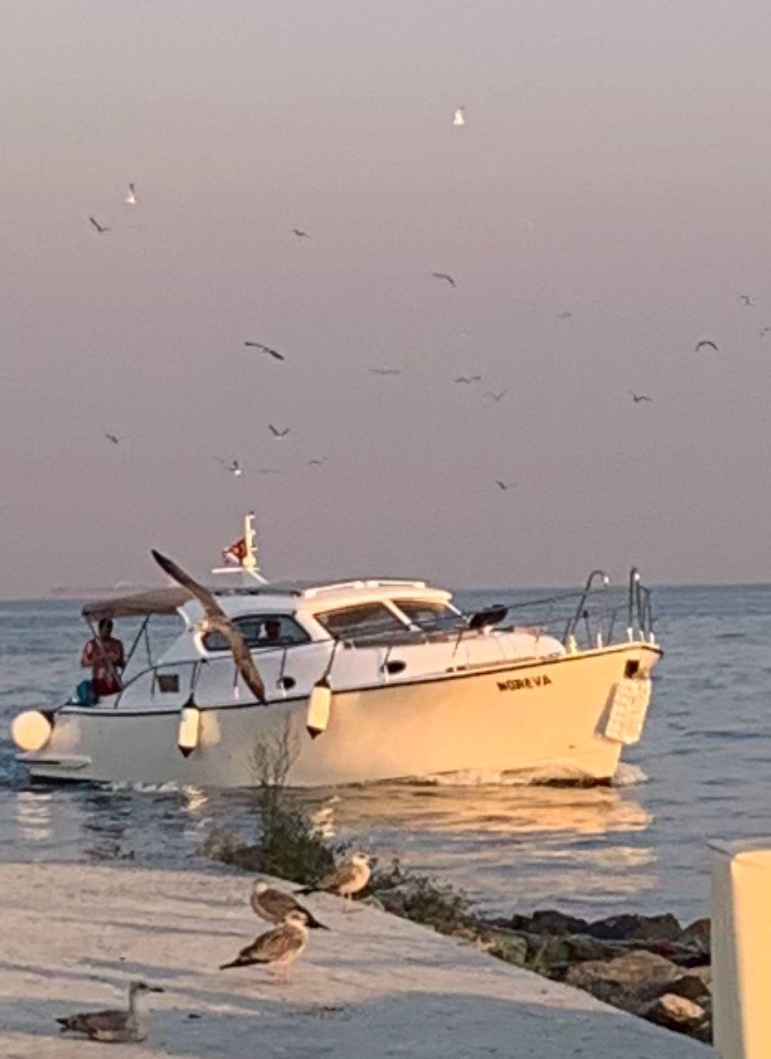 Noreva Yacht - Interior