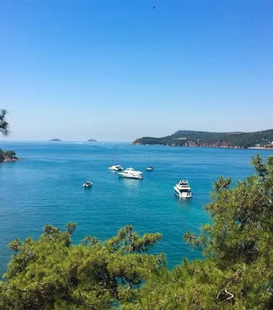 Exploring the Princes' Islands: Istanbul’s Hidden Gem