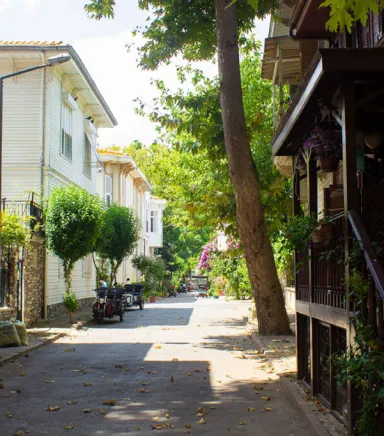 The Princes' Islands Tour Experience