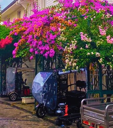 Discover Hidden Beaches on Princess Island