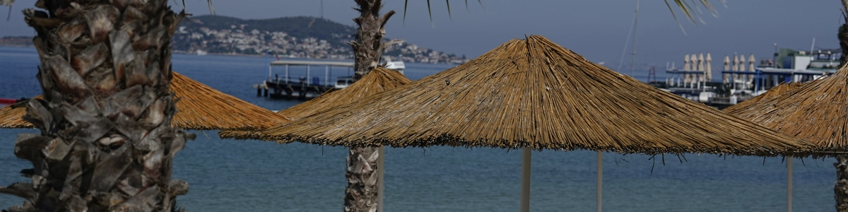 Beach Escape Princes Islands Swim Tour