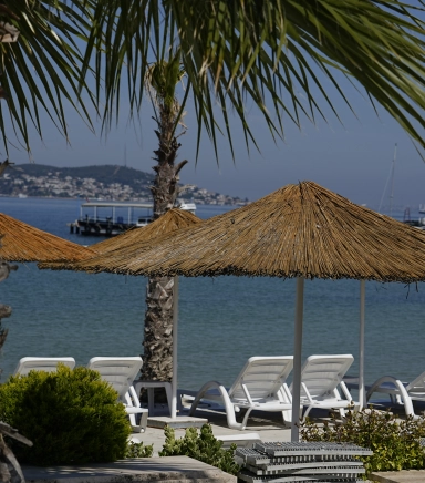 Beach Escape Princes Islands Swim Tour